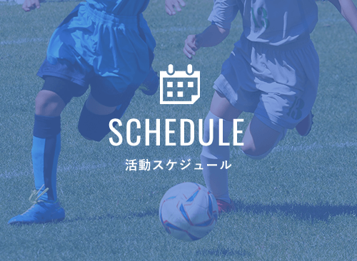 活動スケジュール